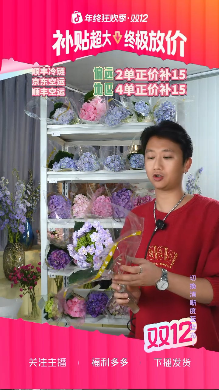 完全开放王*木6号1枝绣球