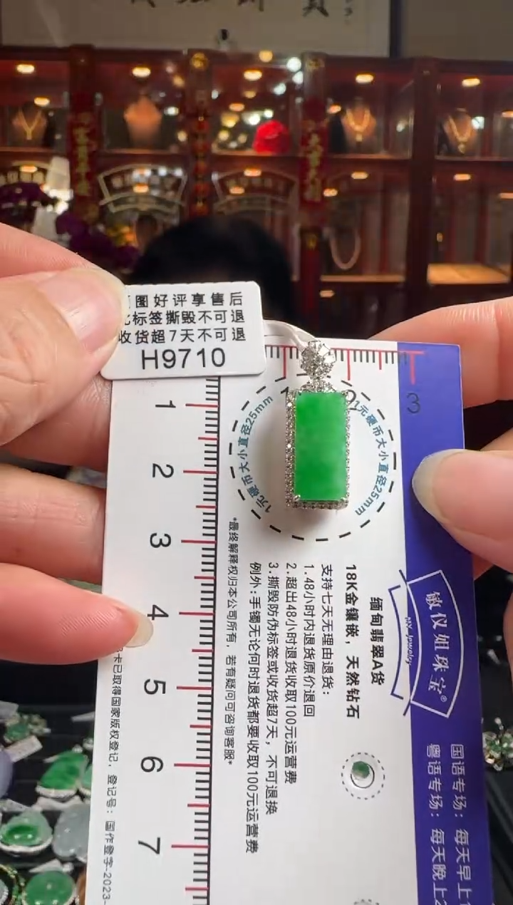【闪购商品】翡翠颈饰18K金镶嵌H9710冰绿无事牌