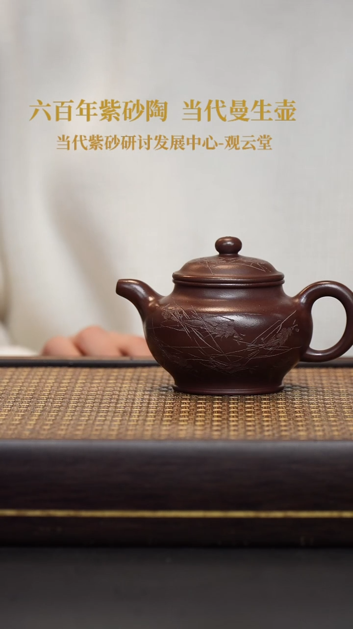 茶壶紫砂紫砂 掇只