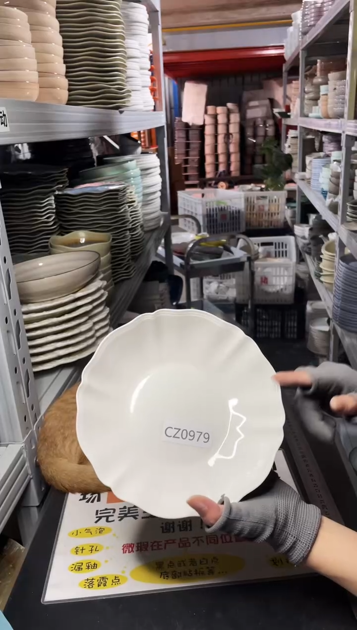 【闪购商品】碗0979            2个