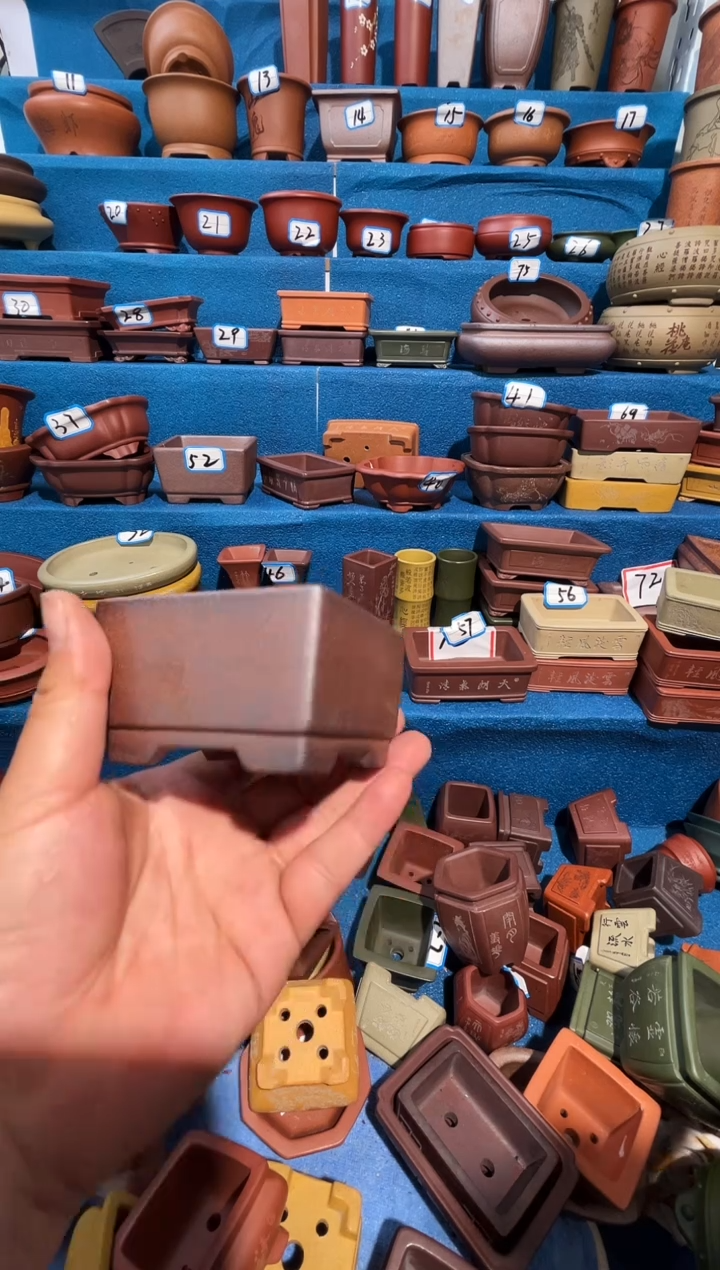 【闪购商品】紫砂紫砂花盆7.5*4