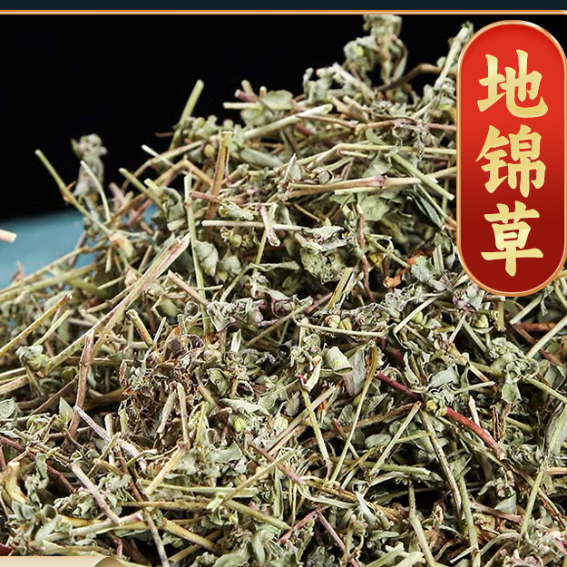 【地锦草】地锦草精选 正品严选