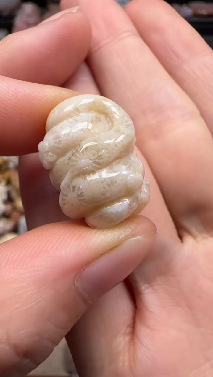 【闪购商品】硅化珊瑚（珊瑚玉）颈饰未镶嵌250