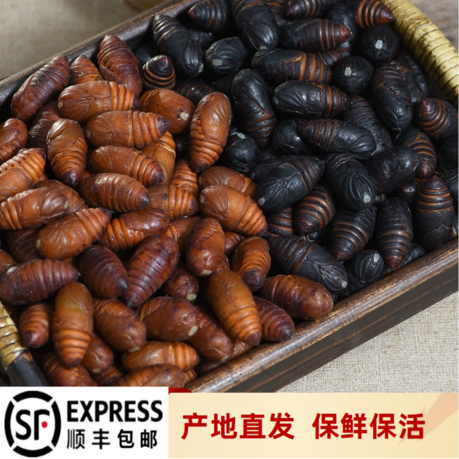 【辽宁省次日达】东北特产柞树蛹 现割现发鲜活到家 高营养老少皆宜