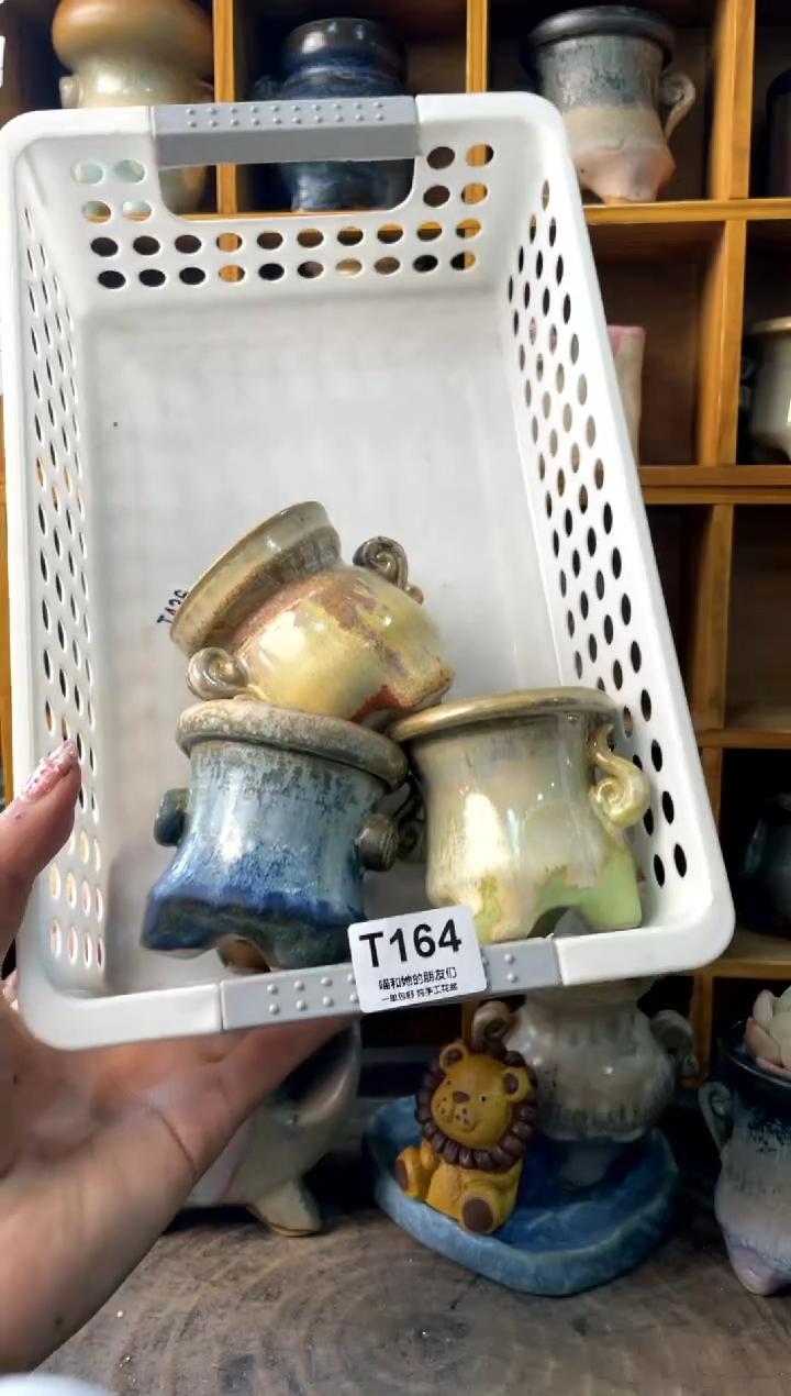 用*164【多肉花盆多肉盆】1