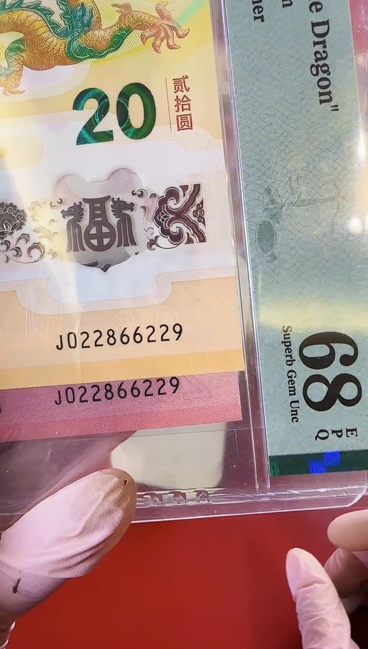 【闪购商品】塑料2024龙蛇钞全同号啊啊啊啊啊裸