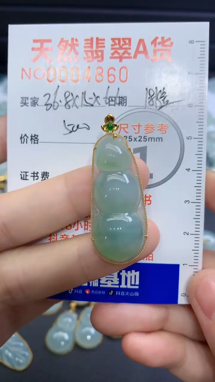 【闪购商品】翡翠颈饰未镶嵌翡翠