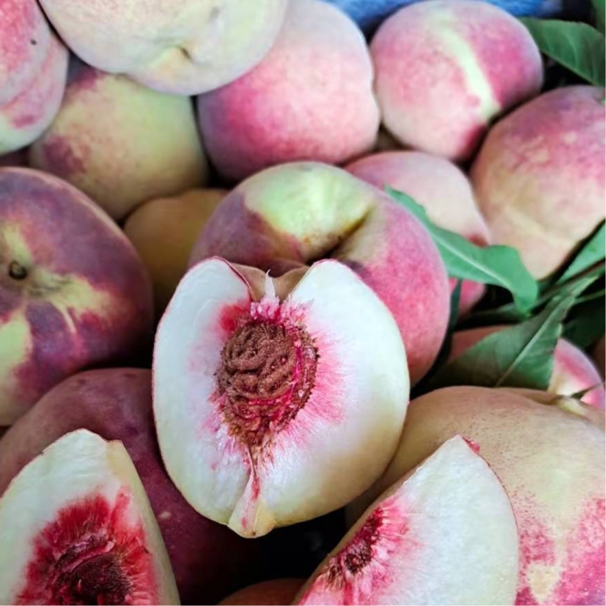 云南大理宾川冬桃蜜桃脆甜多汁离核新鲜应季水果