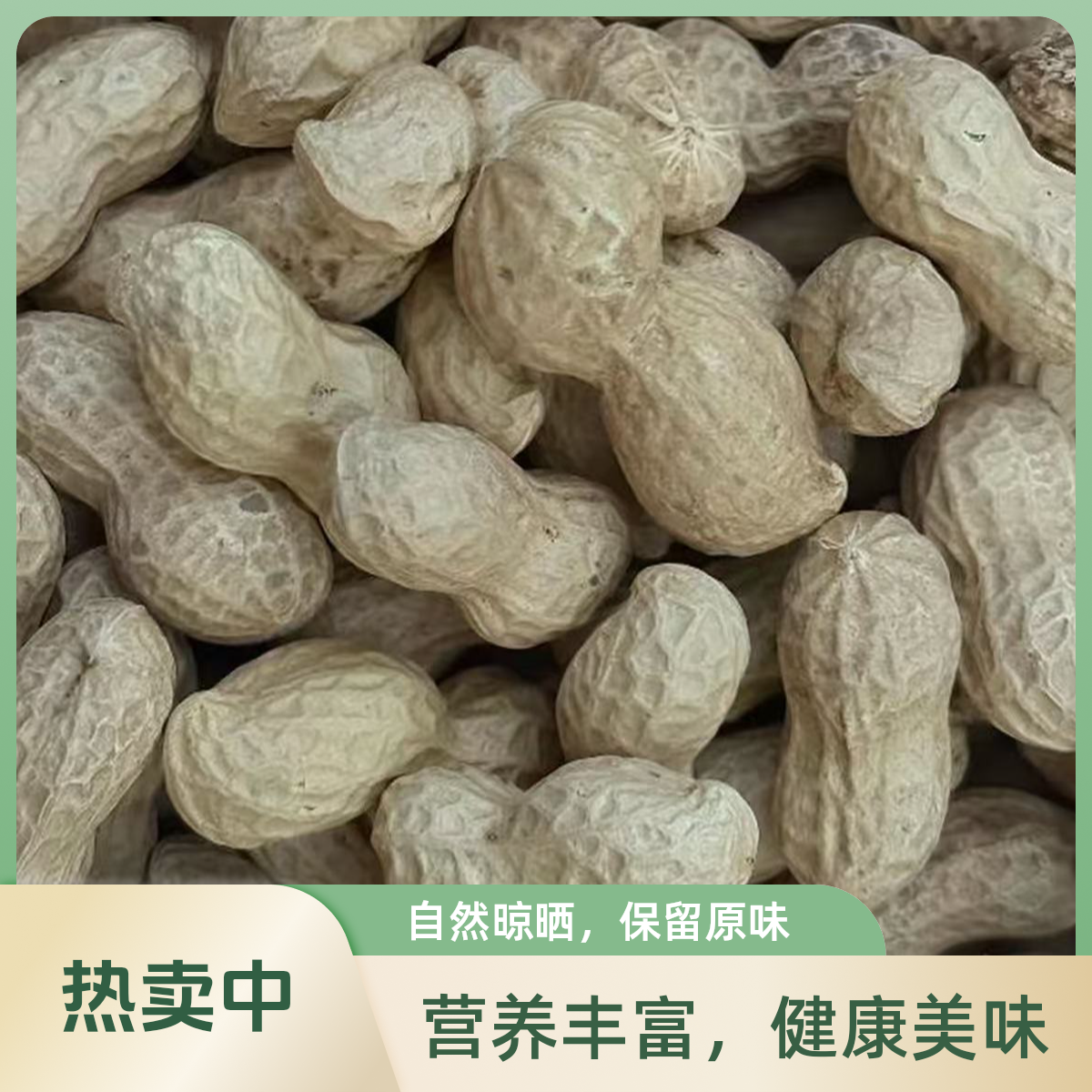 2025年沙土地种植自家晾晒带壳干花生颗粒饱满清脆老品种原汁原味