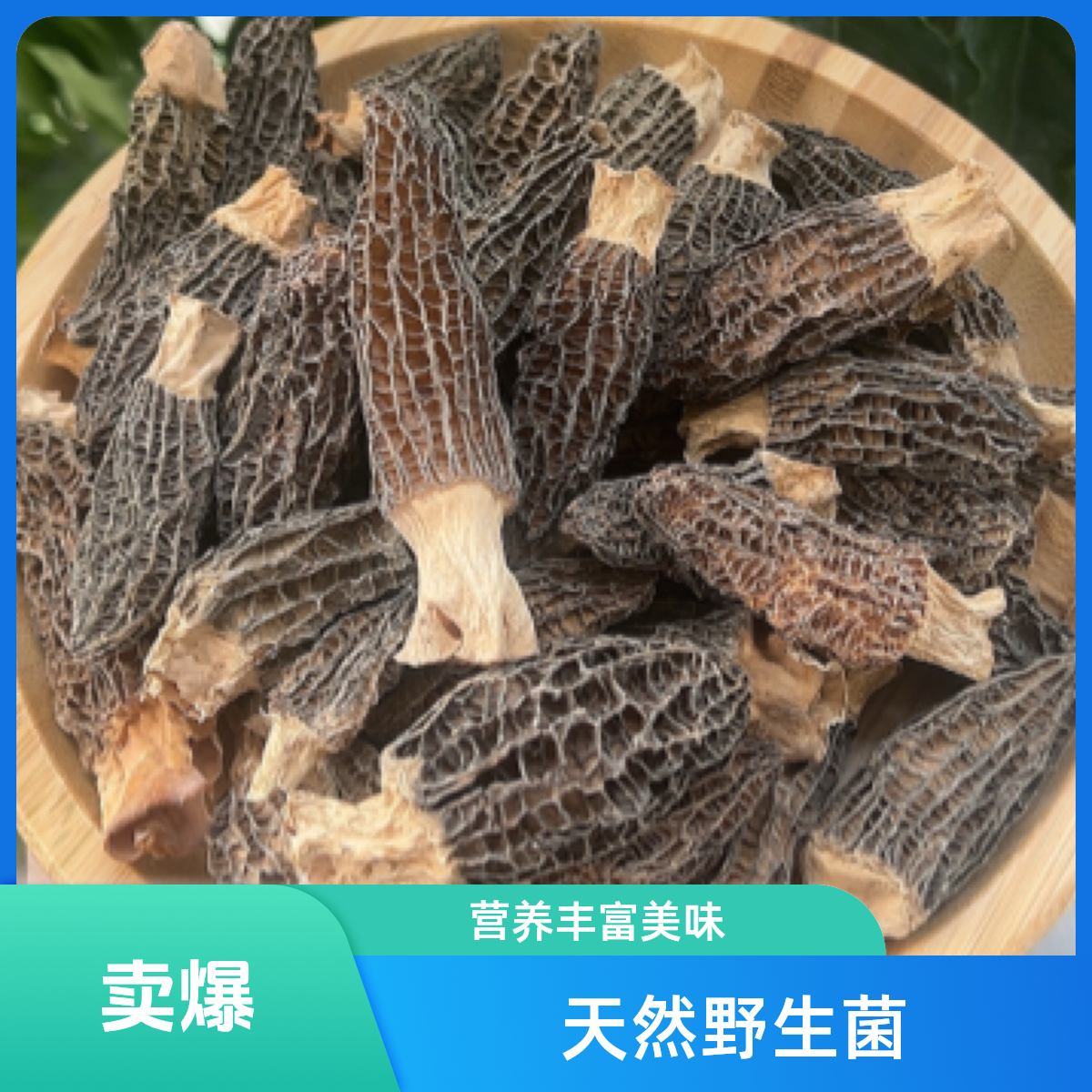 （娜姐推荐）云南高山羊肚菌