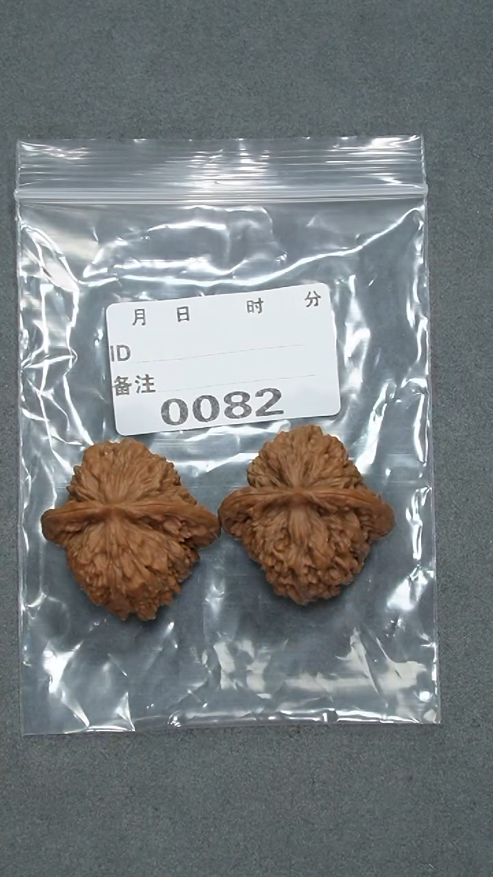 【闪购商品】文玩核桃把件38百年楼