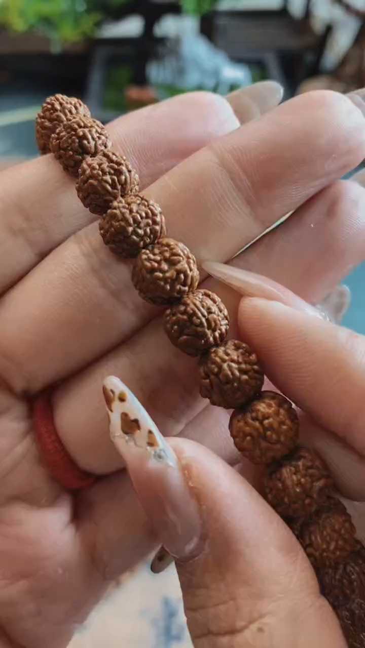 【闪购商品】原生态原桩葛地利一代龙9mm