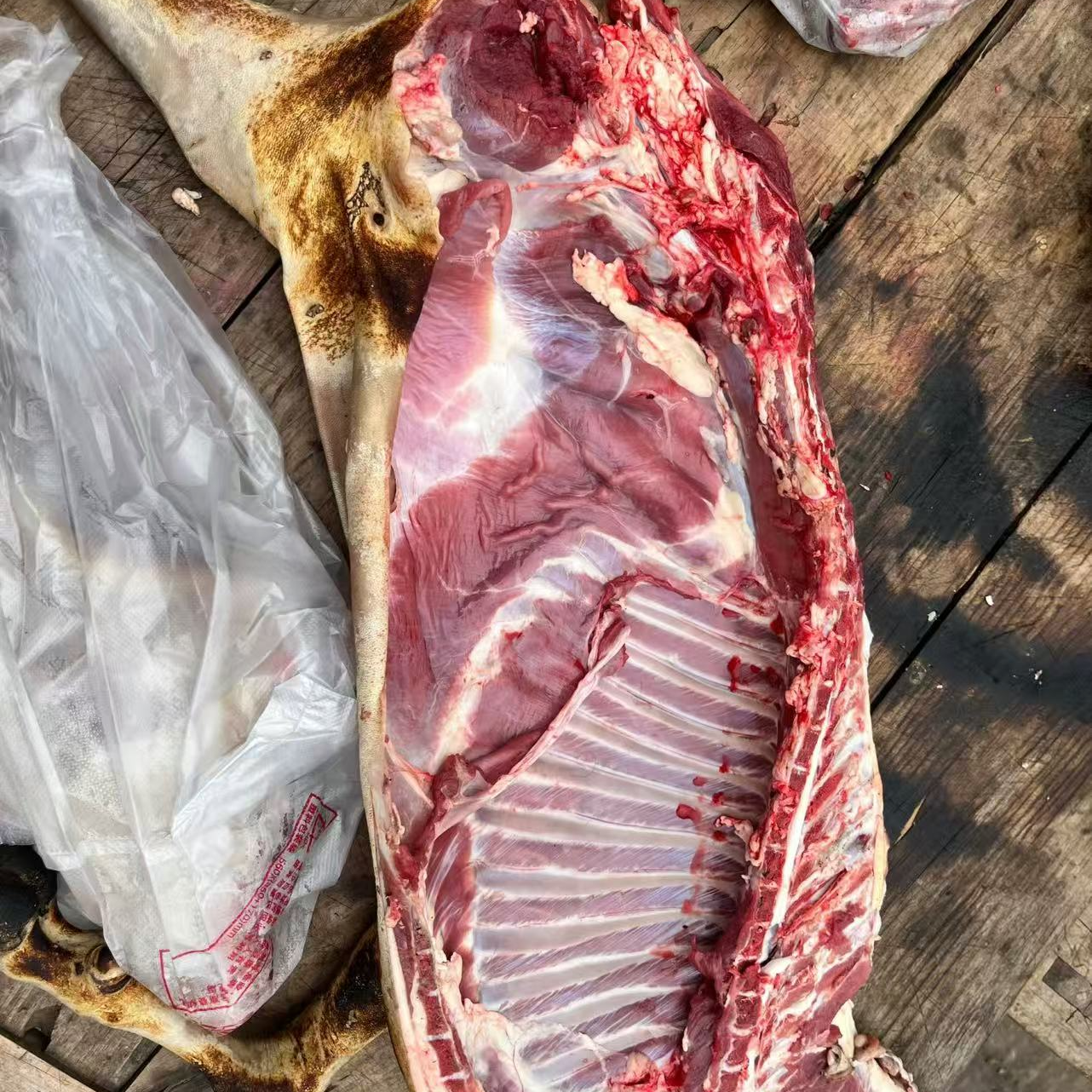 新鲜羊肉