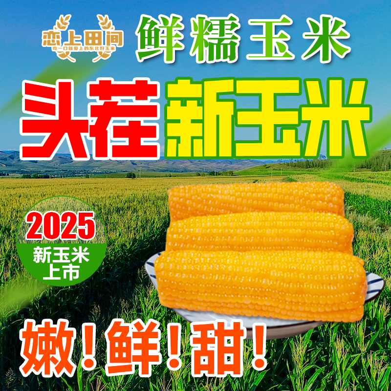 9根非转基因黑龙江五常粘玉米【坏缺重包赔】