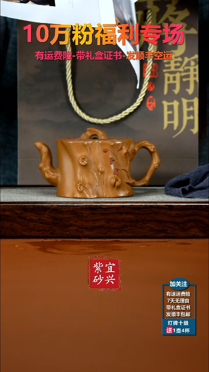 茶壶紫砂蒋静明老段泥梅花树桩220CC