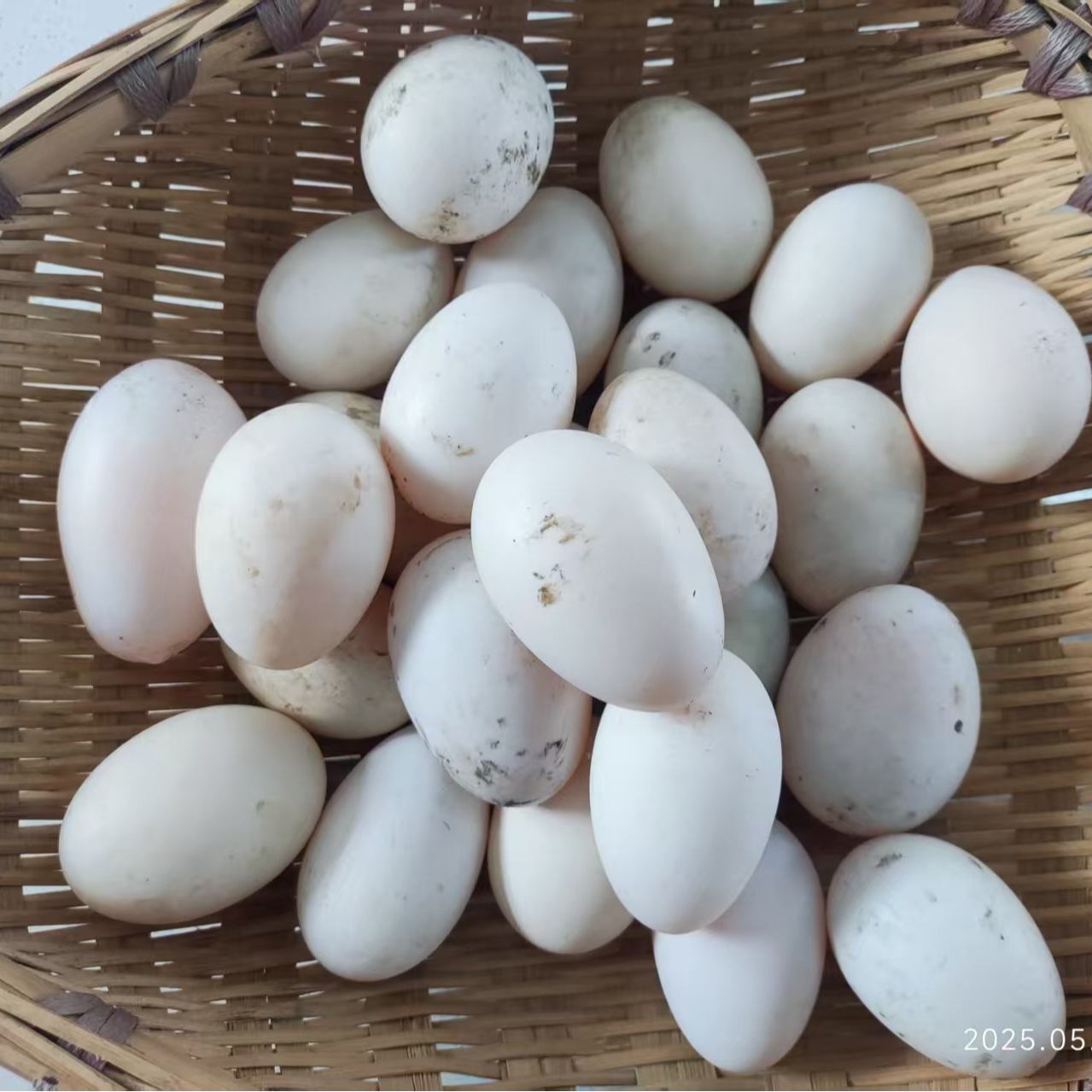 古昌农家土鸭蛋（为农户代销）