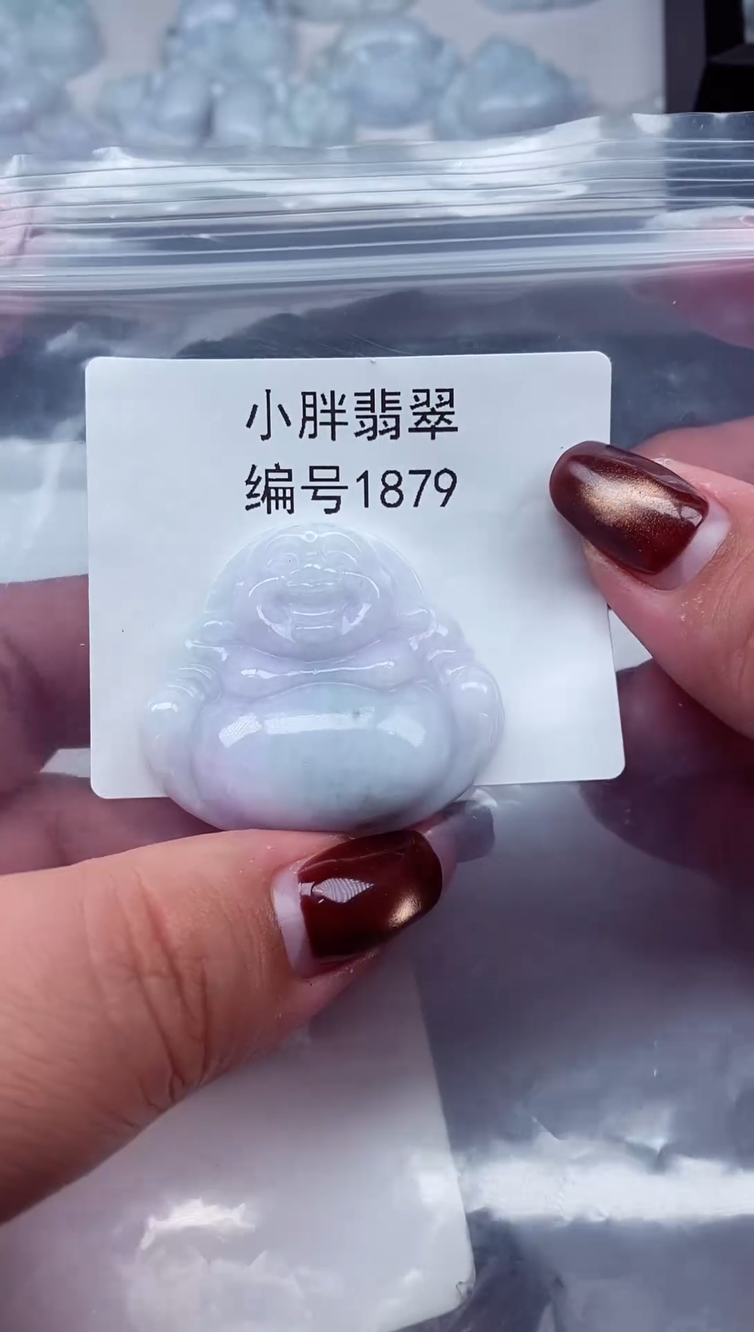 颈饰未镶嵌翡翠缅甸天然A货翡翠1879