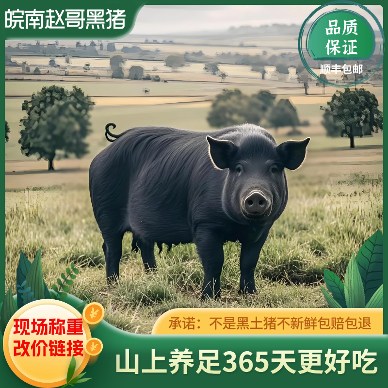 2现场称重新鲜黑土猪肉  农户喂养熟食一年以上 顺丰冷链包邮