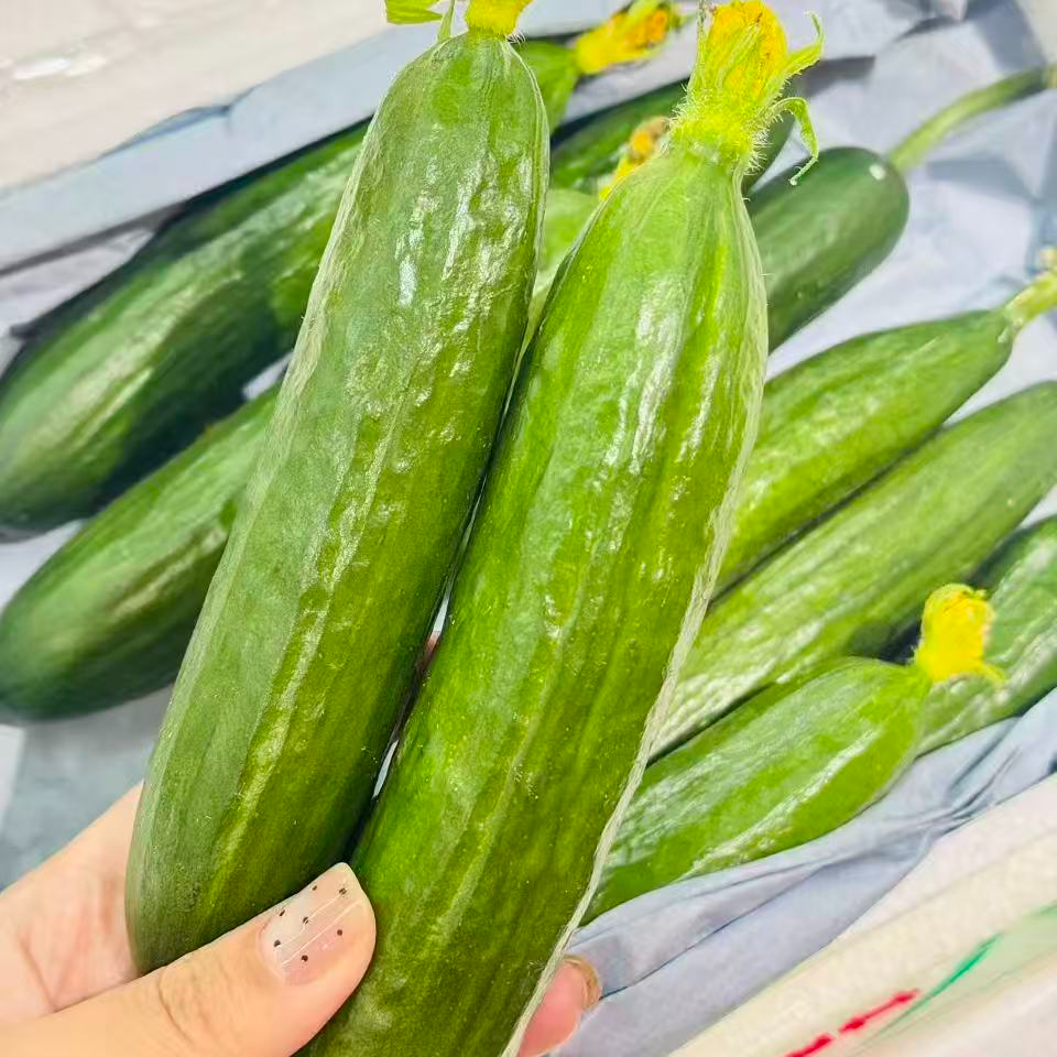 清脆水果黄瓜一件