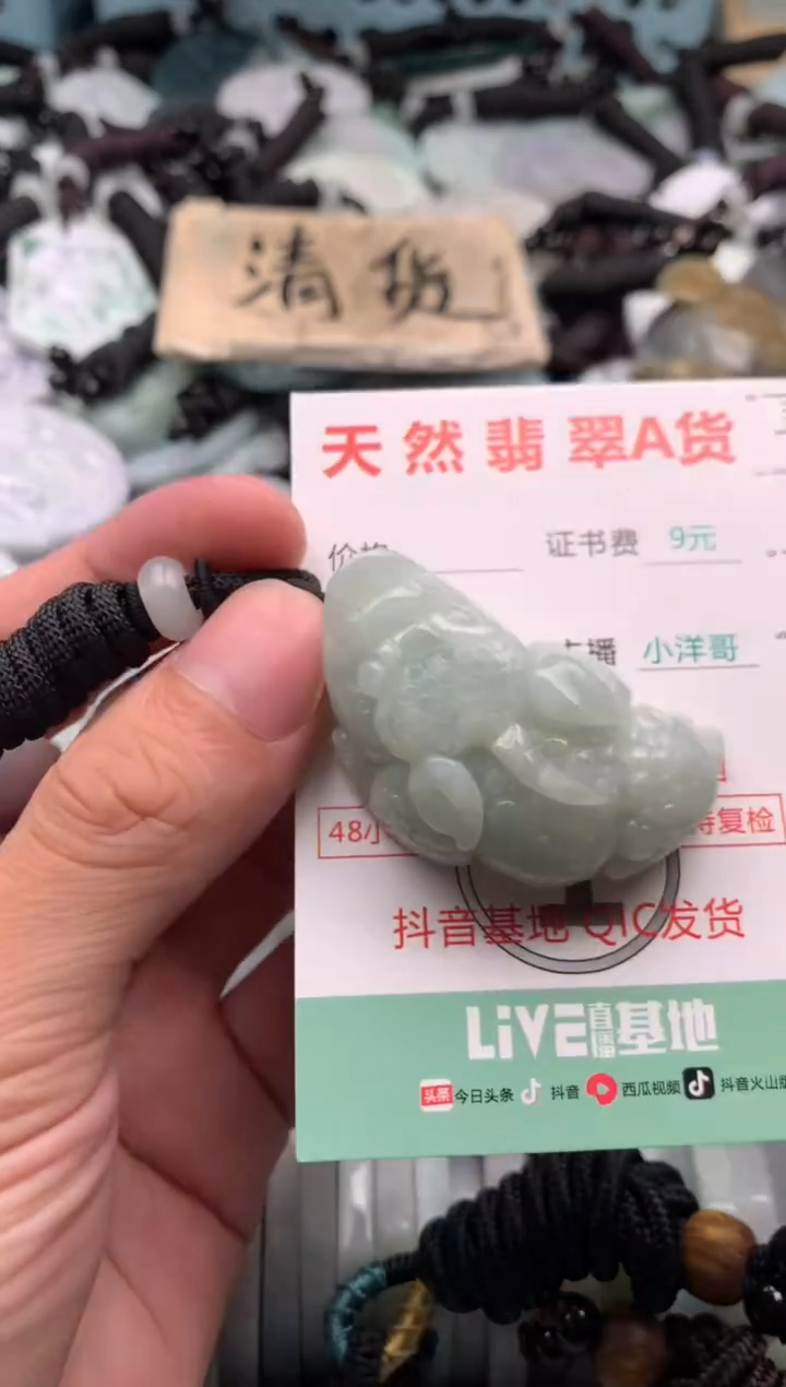 翡翠未镶嵌吊坠(不含链)1