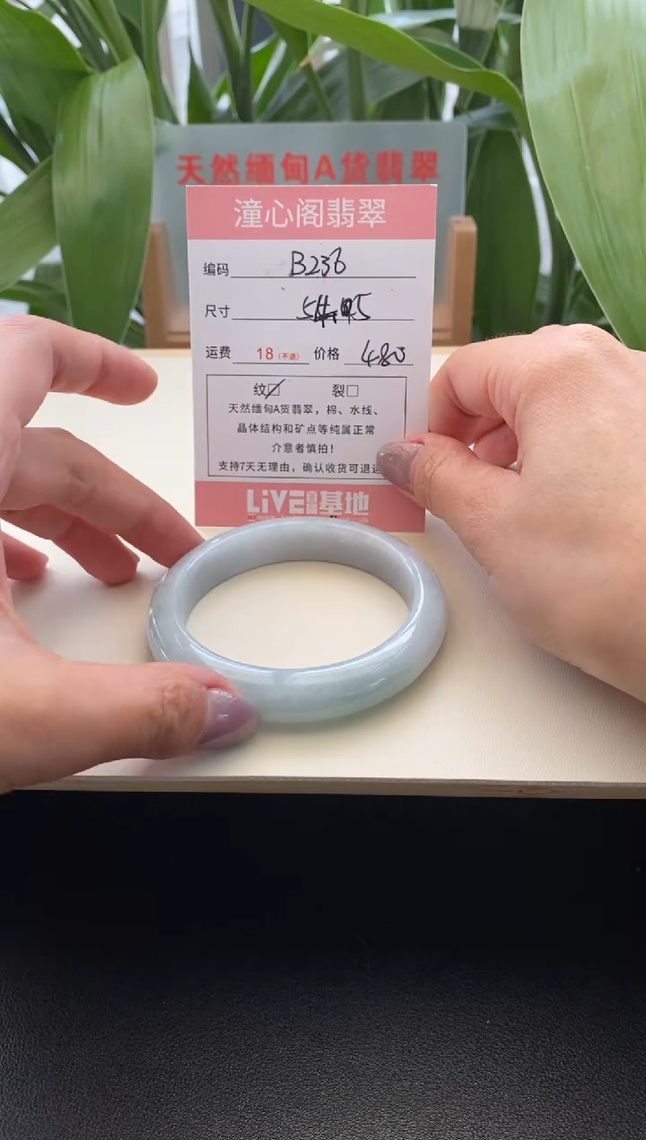 未镶嵌手镯翡翠54.5圈口b238