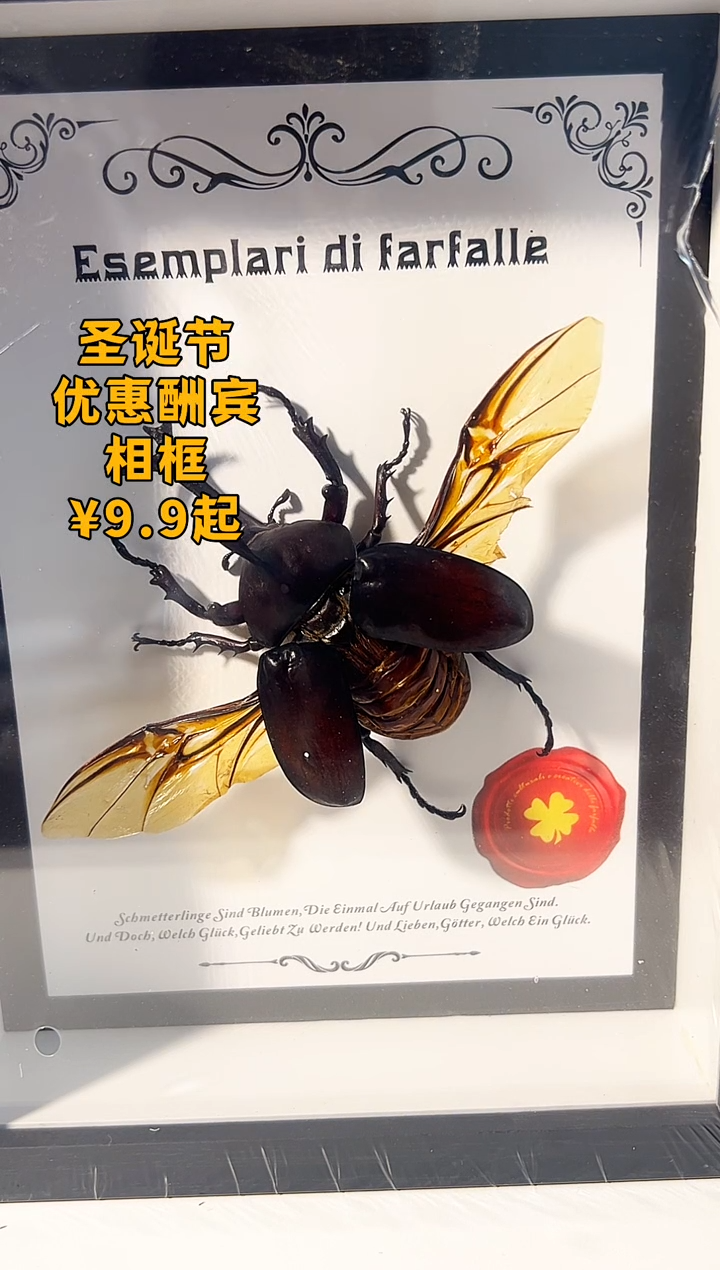 有机玻璃独角仙大个体