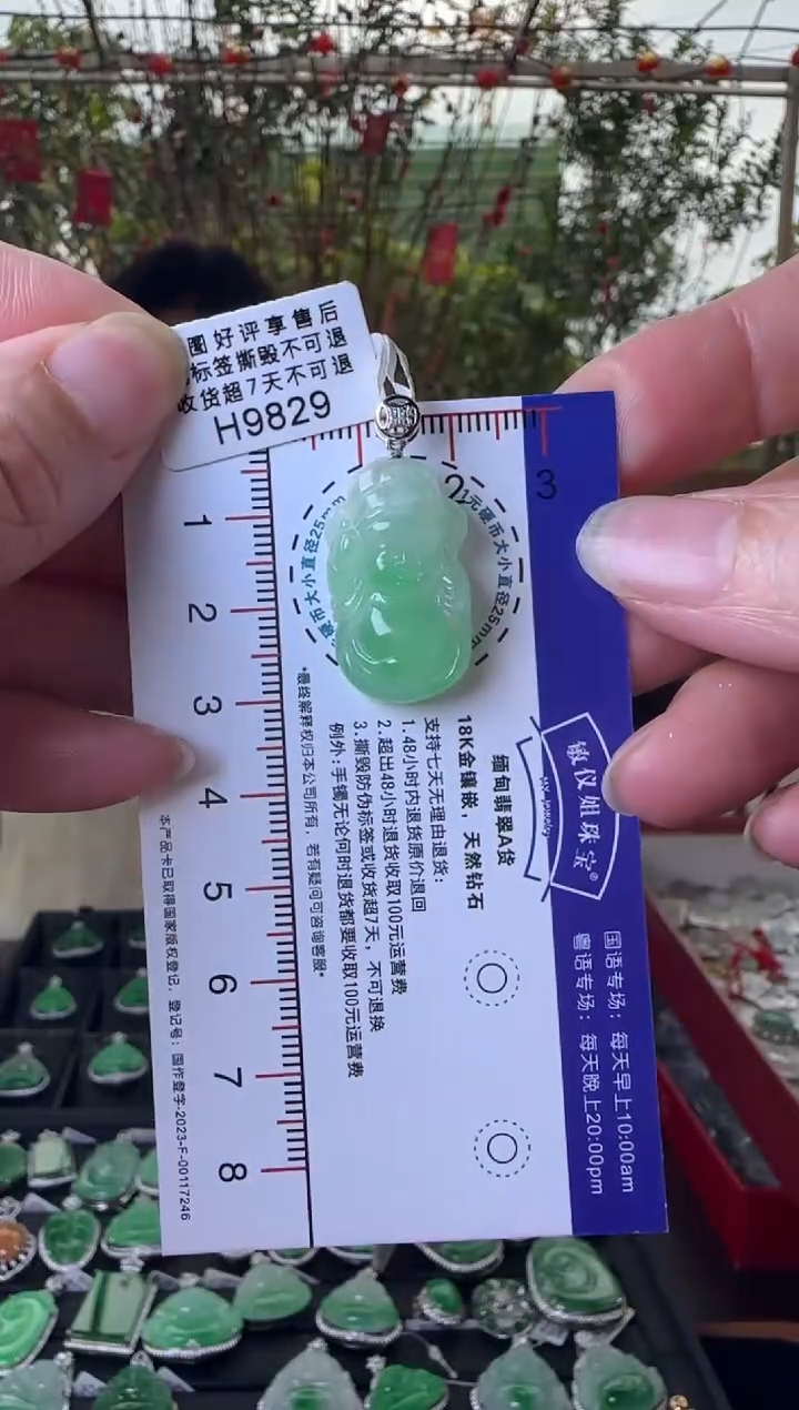 【闪购商品】翡翠颈饰18K金镶嵌H9829冰绿财神