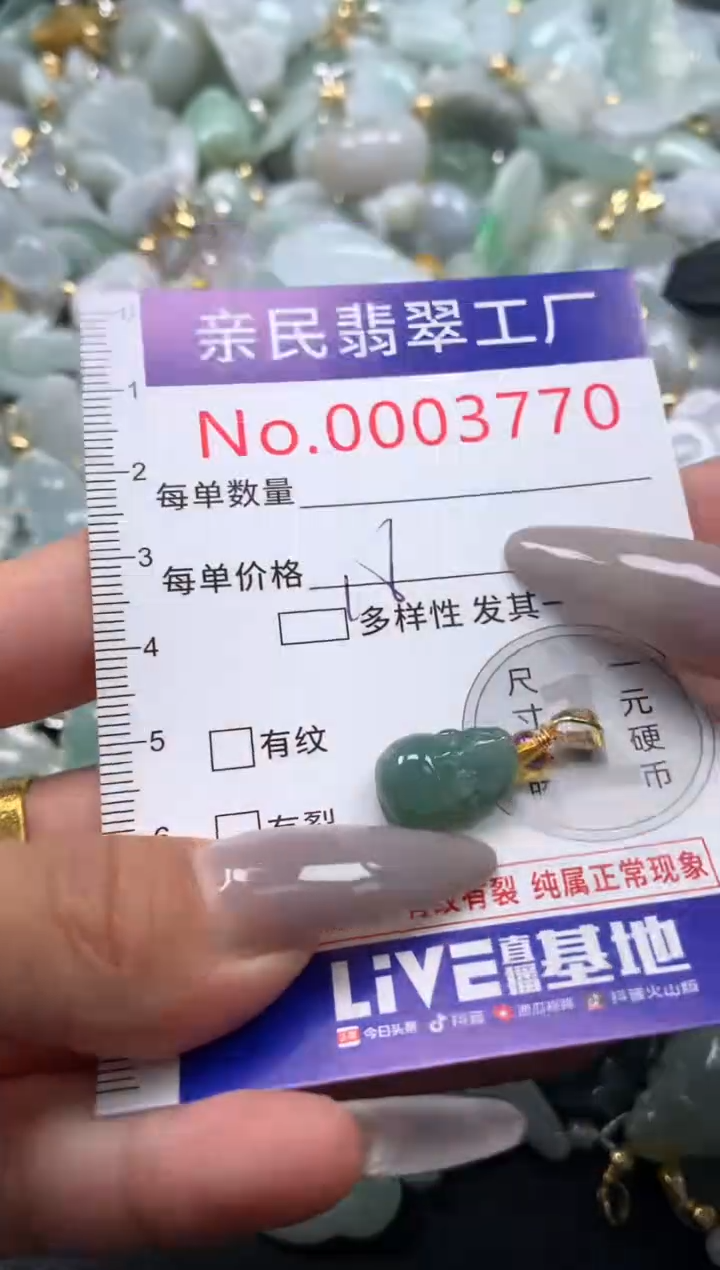 颈饰未镶嵌翡翠3770