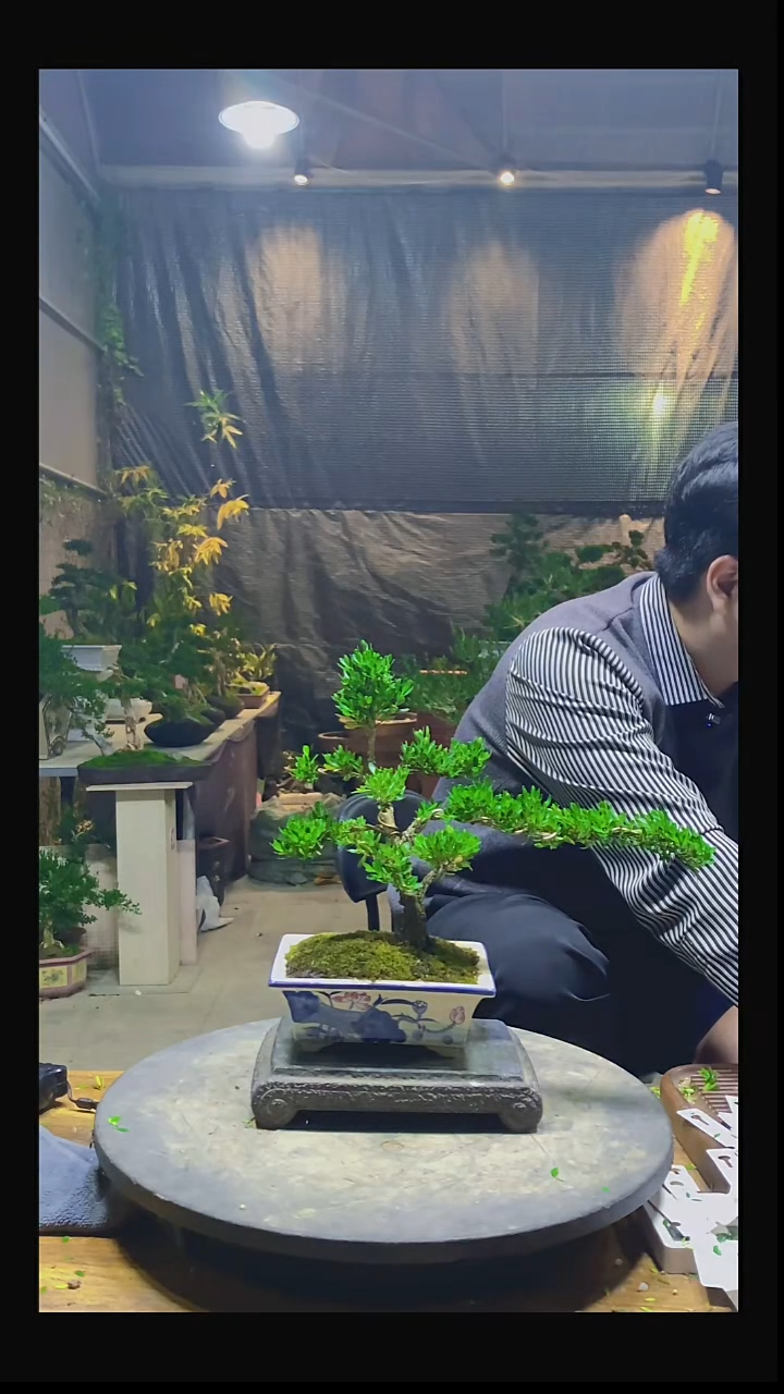 完全开放知*111111111112211111