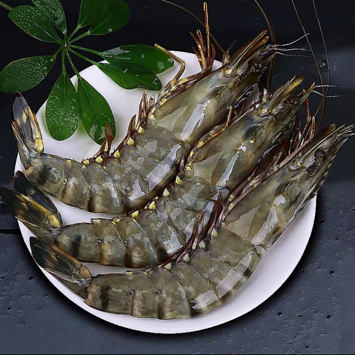 【9-12只斤】大号21/25规格黑虎虾3斤/盒30-35只左右鲜活船冻顺丰