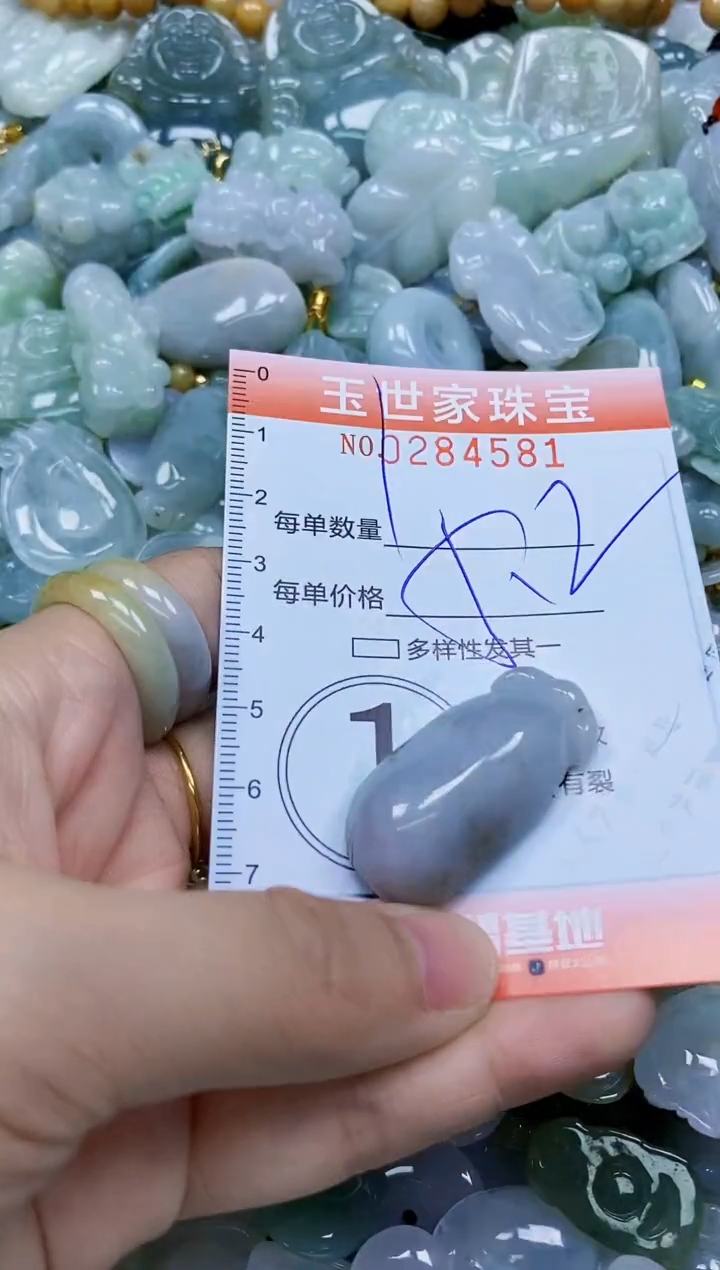 翡翠未镶嵌颈饰闪购0284581