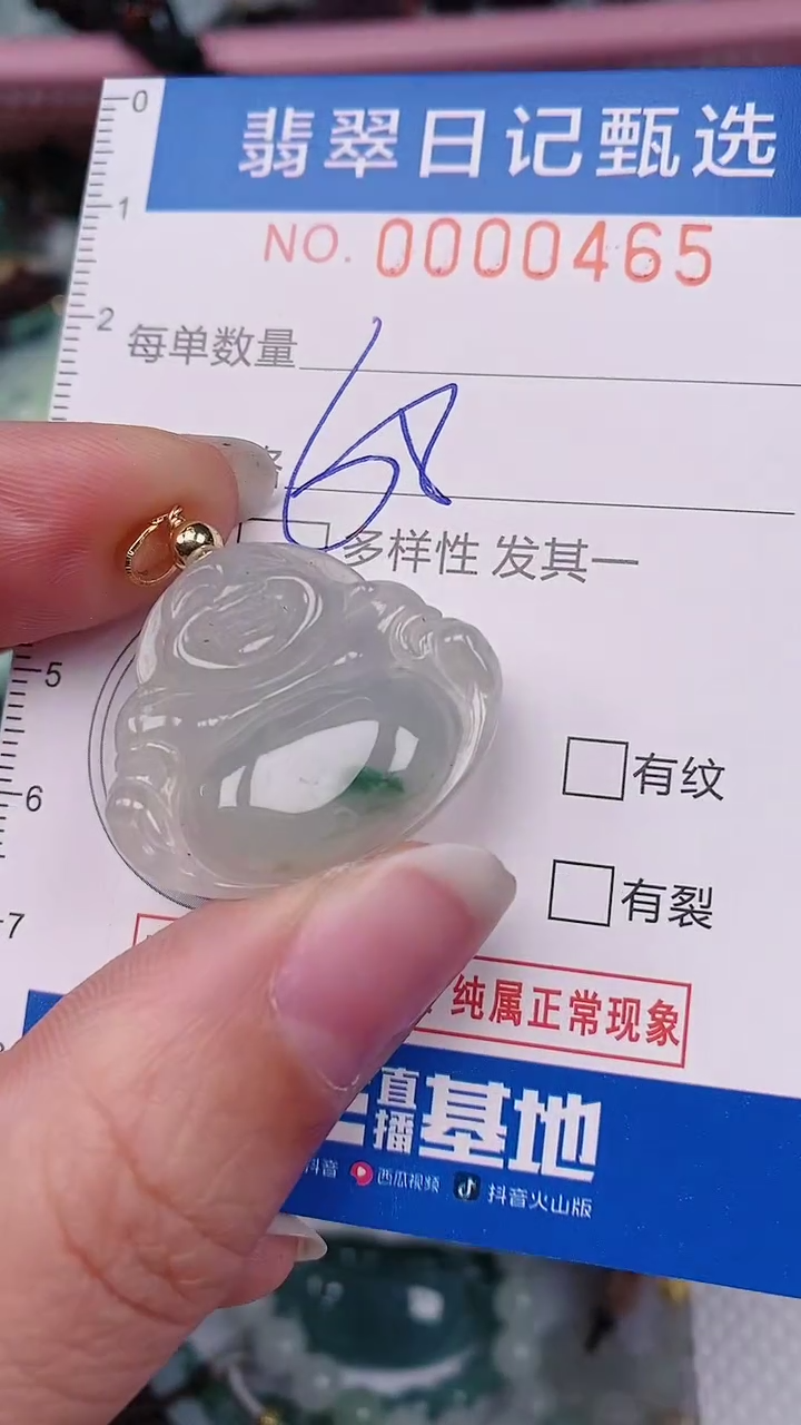 【闪购商品】翡翠颈饰未镶嵌00000465