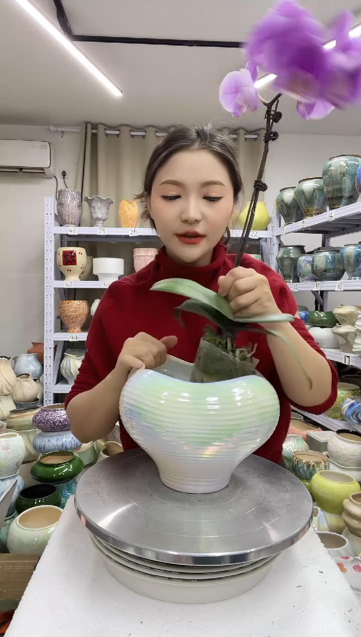 【1.3】花盆尺寸高：15 口：15