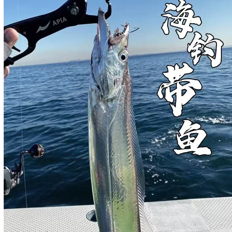 野生渤海海钓大条油带鱼特大刀鱼买四斤送一斤共5斤有破肚