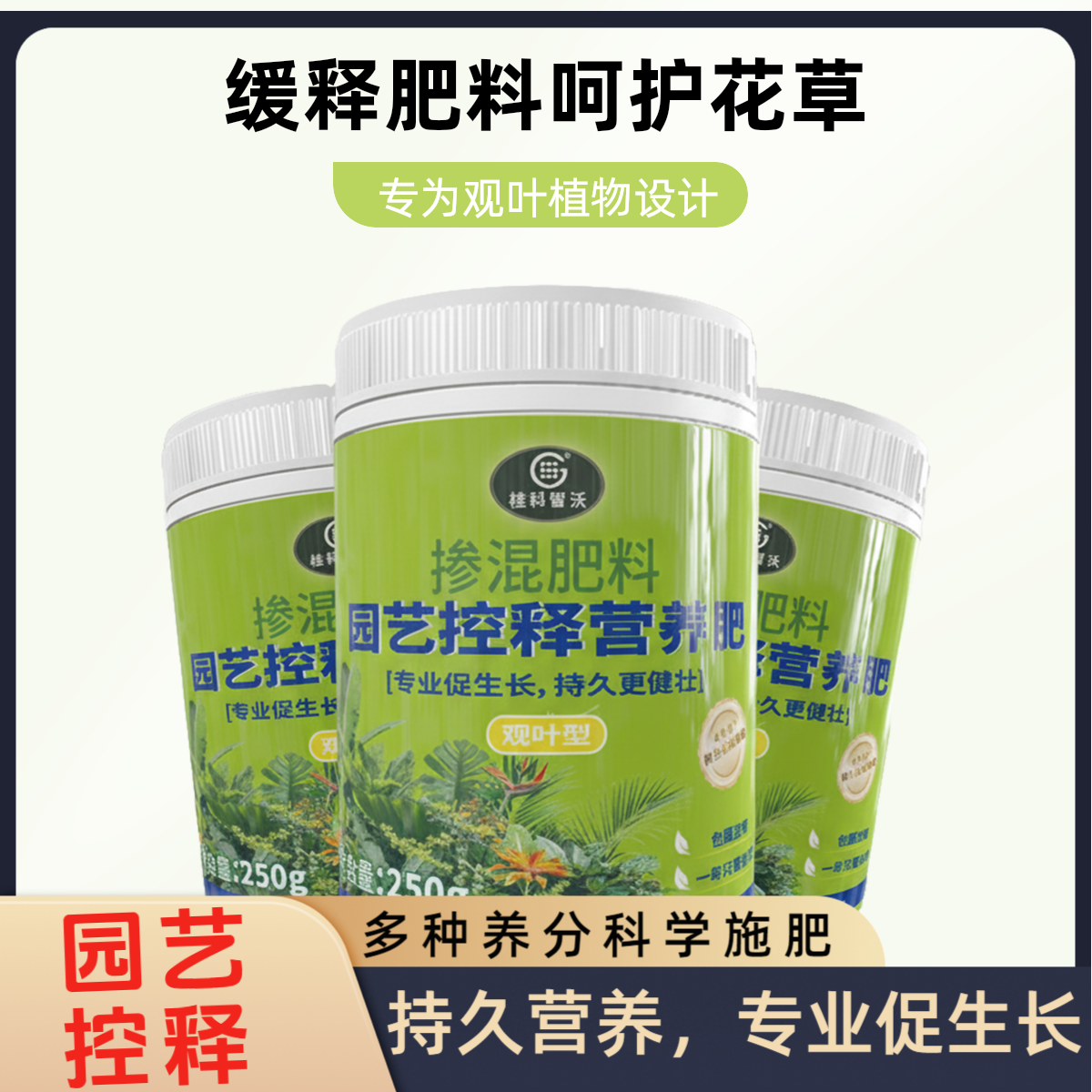 龟背竹桂花月季盆玫瑰栽专用氮磷钾复合肥预防黄叶观叶控释缓释肥