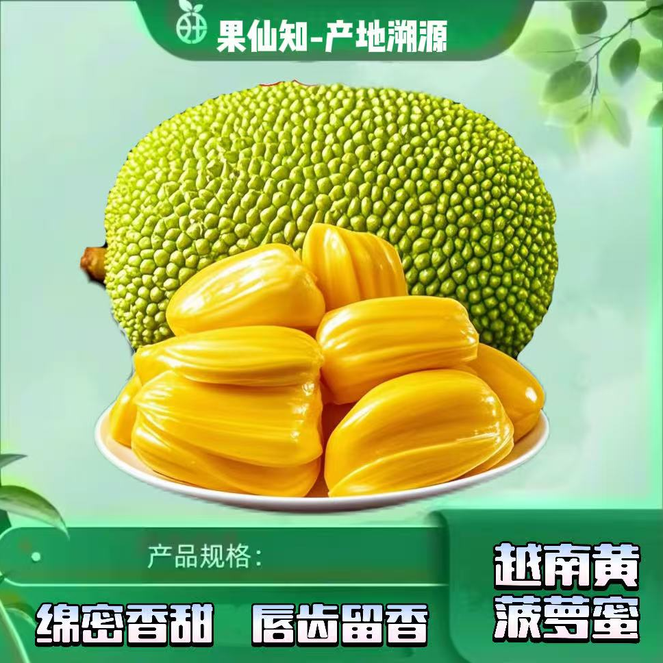 【越南黄肉菠萝蜜水果-（10-13斤左右）1颗】