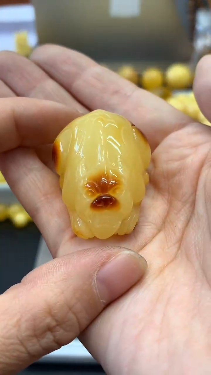 未镶嵌琥珀珠宝奇石905