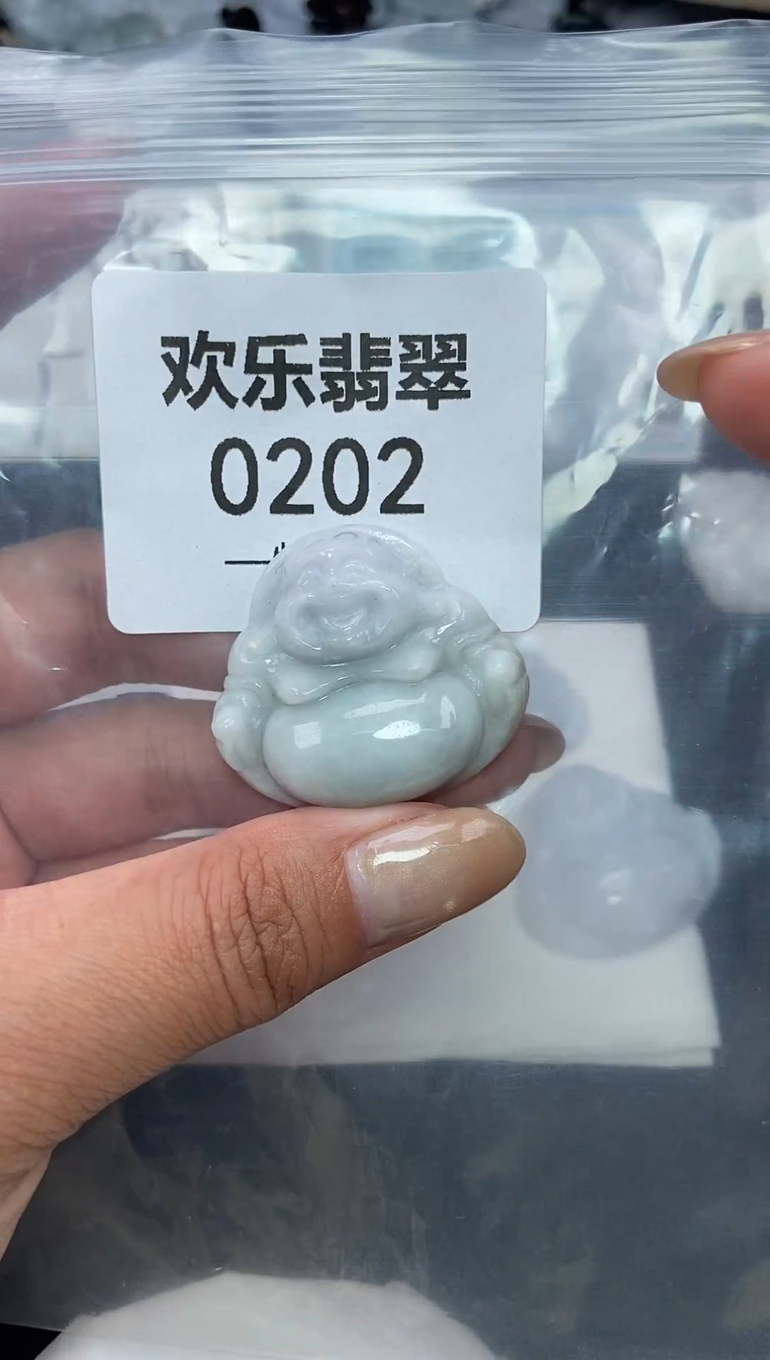 颈饰未镶嵌翡翠缅甸天然翡翠0202
