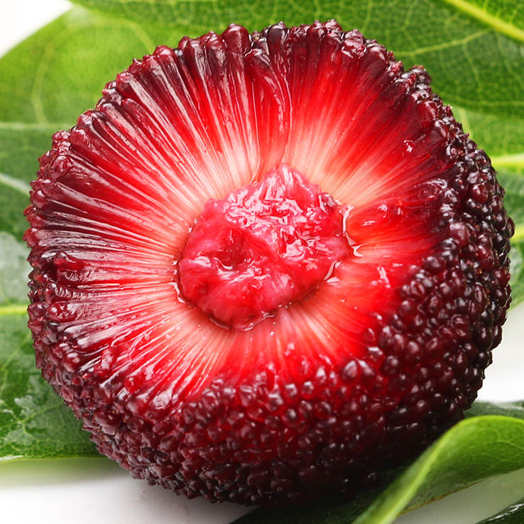 福建浮宫杨梅4斤硬丝大果单果20g-10g新鲜水果生鲜核小汁多