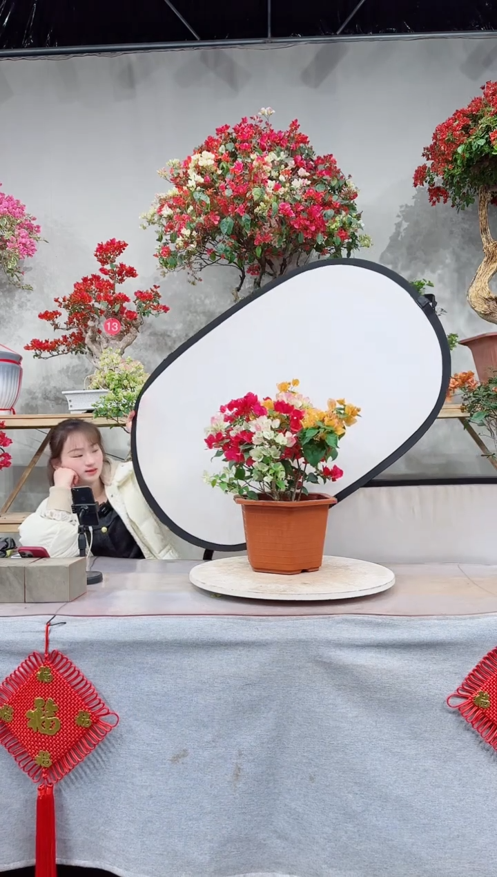 【闪购商品】盆景吉祥三宝