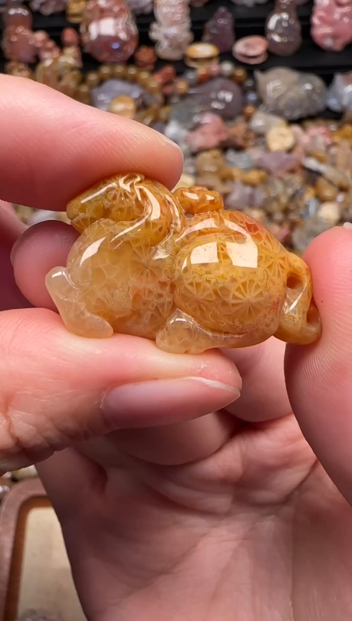 颈饰未镶嵌硅化珊瑚（珊瑚玉）396