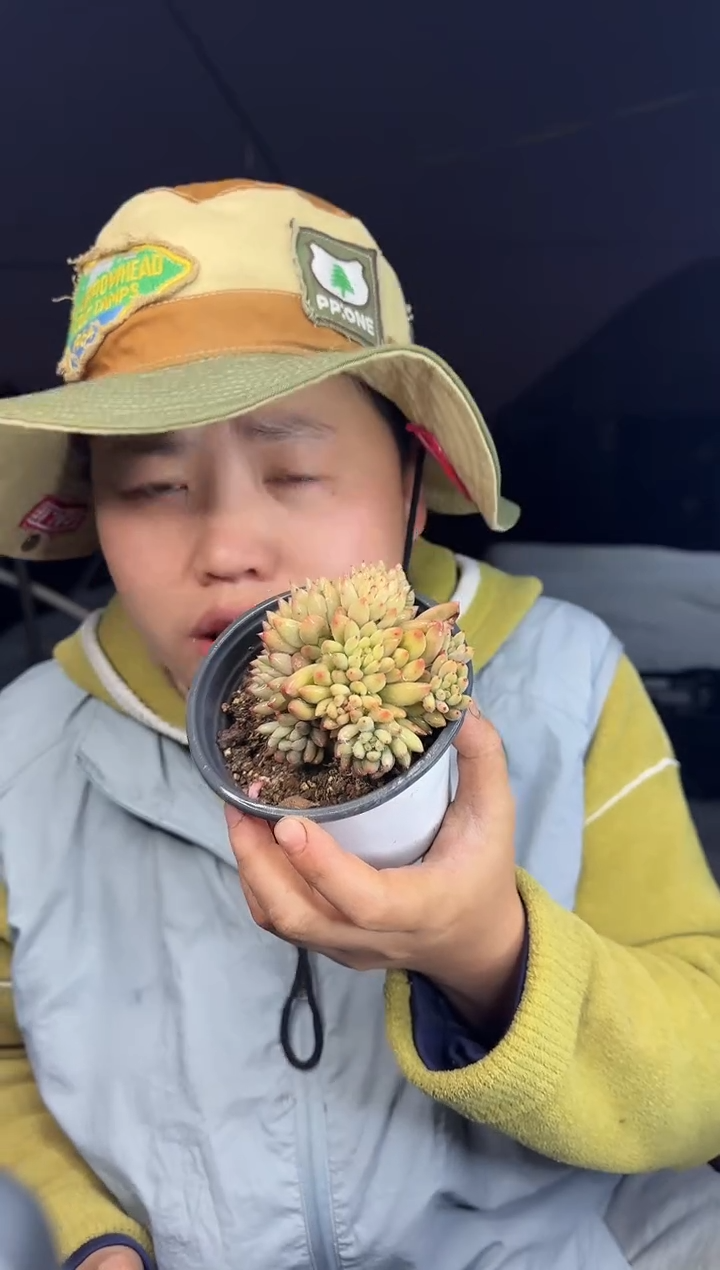 爆多崽岩字2颗4.8  