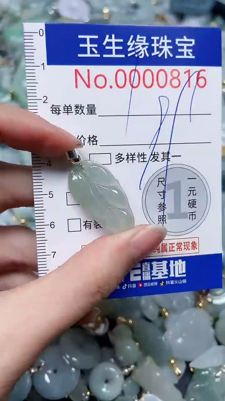 【闪购商品】翡翠颈饰未镶嵌闪购0000816