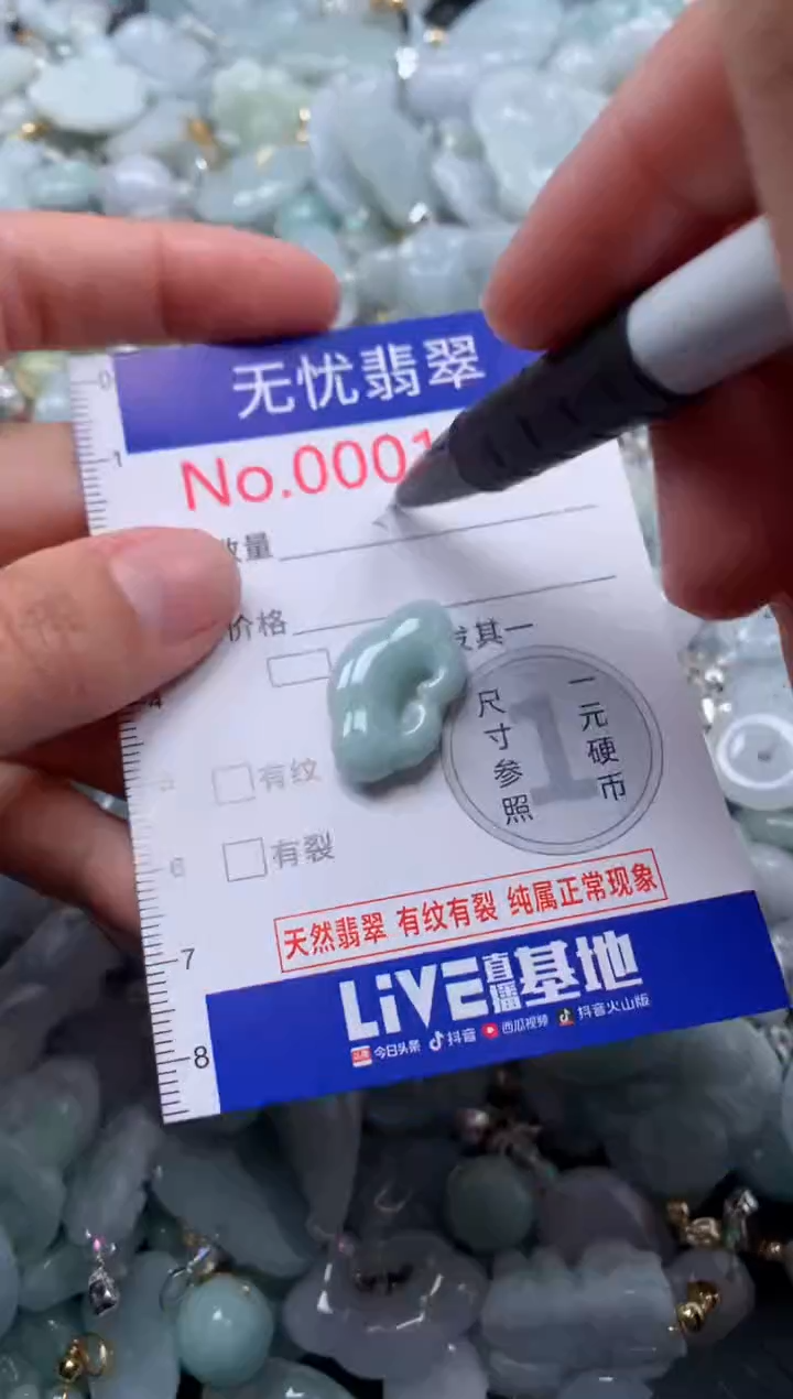 颈饰未镶嵌翡翠1008