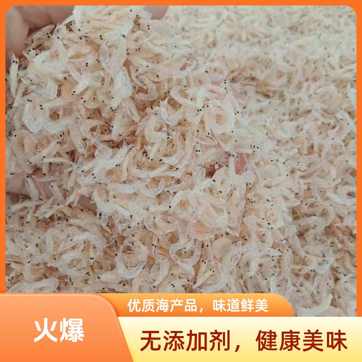 大连特产生晒淡干补钙新鲜海米美味特级虾皮做汤调馅凉菜250g