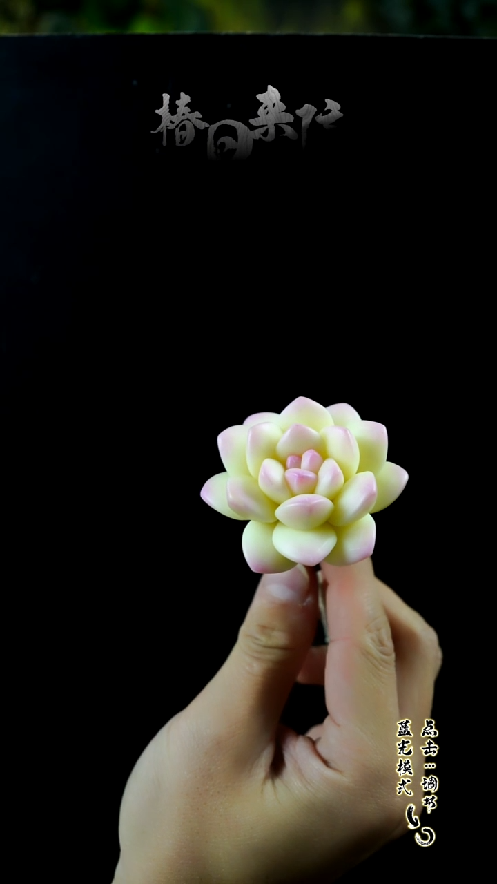 冰玉。。。。。。。。。。。。。。