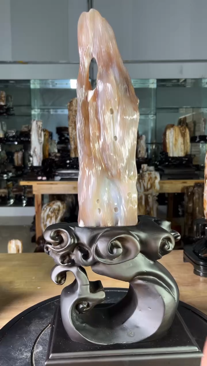 【闪购商品】硅化玉珠宝奇石未镶嵌1