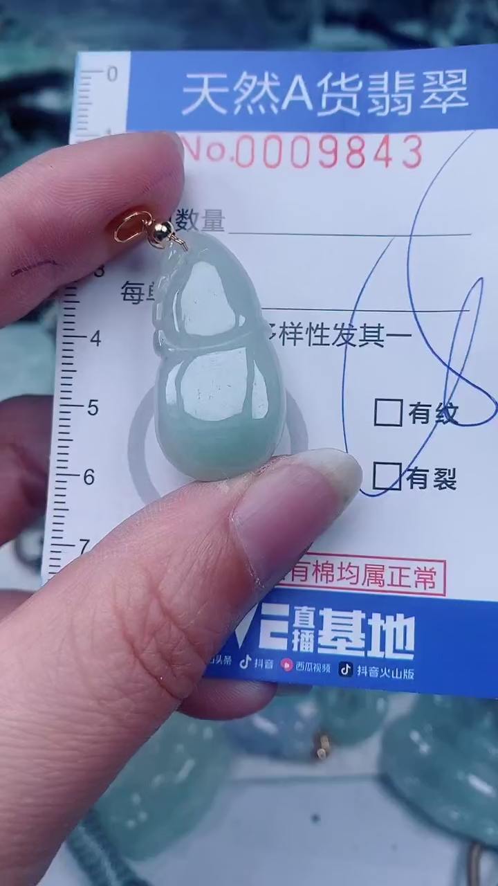 翡翠未镶嵌颈饰00009843