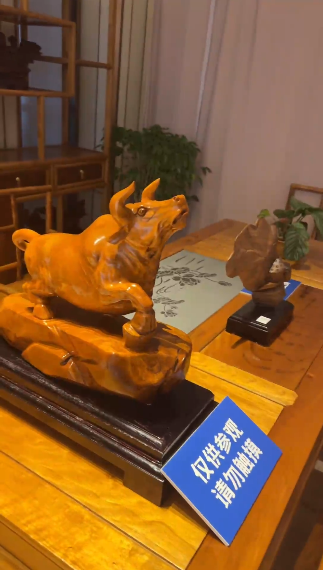 金丝楠跟****？ 金丝楠木小叶桢楠  