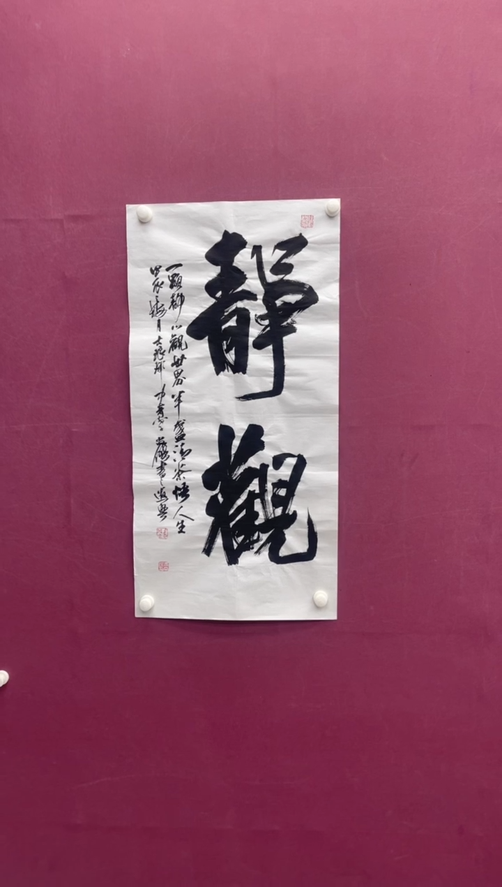 【闪购商品】书法书法作品静观